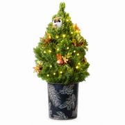 Forest Friends Living Tabletop Christmas Tree Alternate Image 7