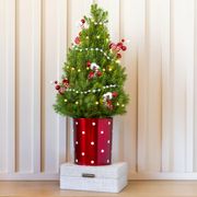 Peppermint Twist Living Tabletop Christmas Tree Thumb