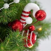 Peppermint Twist Living Tabletop Christmas Tree Alternate Image 2