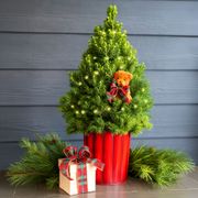 Beary Merry Living Tabletop Christmas Tree Thumb