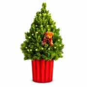 Beary Merry Living Tabletop Christmas Tree Alternate Image 2