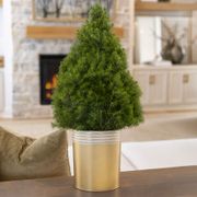 Golden Glow Spruce It Up Living Tabletop Christmas Tree Thumb