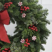 Peppermint Twist Fresh Evergreen Wreath Alternate Image 1