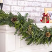 Fresh Evergreen Garland Thumb