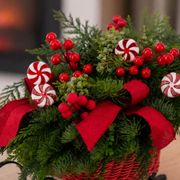 Santa's Sleigh Fresh Evergreen Arrangement Alternate Image 1