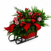 Santa's Sleigh Fresh Evergreen Arrangement Alternate Image 2