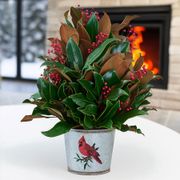 Magnolia and Berry Fresh Magnolia Centerpiece Thumb