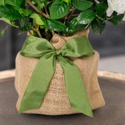 Gardenia Gift Tree Alternate Image 3