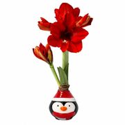 Cheerful Penguin Waxed Amaryllis Gift Alternate Image 2