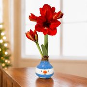Jolly Snowman Waxed Amaryllis Gift Thumb