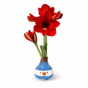 Jolly Snowman Waxed Amaryllis Gift Alternate Image 2