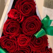 Preserved Red Rose Holiday Tree Gift Alternate Image 1