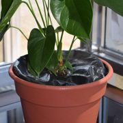 TreeDiaper&reg; 10-inch (2-Pack) Alternate Image 1