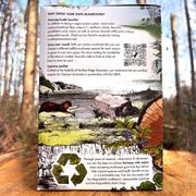 Mushroom Lion's Mane Pom Pom Countertop Kit Alternate Image 3