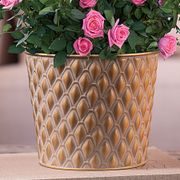 Pink Rose Gift Plant Alternate Image 2