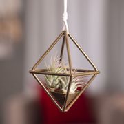 Air Tilly Metal Frame Hanger Alternate Image 2