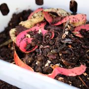 Vego Garden&reg; In-Ground Worm Composter Alternate Image 7