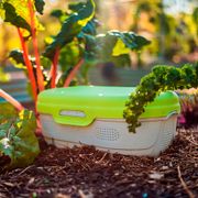 Vego Garden&reg; In-Ground Worm Composter Alternate Image 8