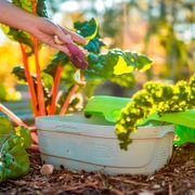 Vego Garden&reg; In-Ground Worm Composter Alternate Image 9