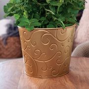 Red Rose Gift Plant Alternate Image 2