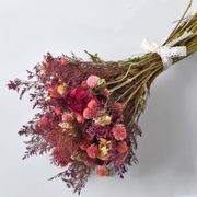 Pink Paradise Dried Floral Bouquet Alternate Image 1