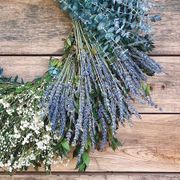 Sweet Serenity Dried Lavender, Baby's Breath and Eucalyptus Wreath Alternate Image 1