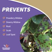 Bonide&reg; Captain Jack's&trade; Neem Oil 32 oz. Alternate Image 3