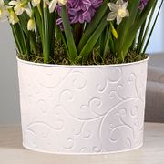 Peach Charm Bulb Garden Alternate Image 2