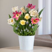 Spring Kiss Bulb Garden Thumb