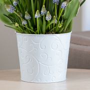 Spring Kiss Bulb Garden Alternate Image 2