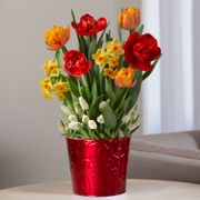 Summer Breeze Bulb Garden Thumb