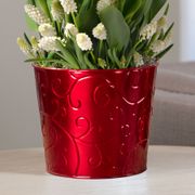 Summer Breeze Bulb Garden Alternate Image 2