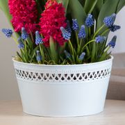 Cheerful Wishes Bulb Garden Alternate Image 2