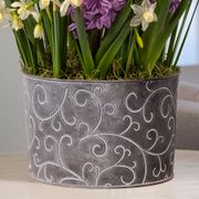 Coral Reef Bulb Garden Alternate Image 2