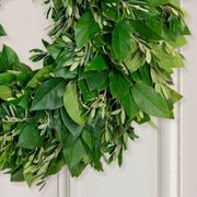 Simply Citrus Dried Orange Wreath Alternate Image 1