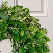 Simply Citrus Dried Orange Wreath Alternate Image 4