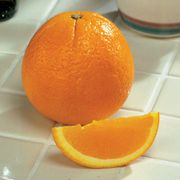 Citrus 'Washington' Navel Orange Tree Alternate Image 3