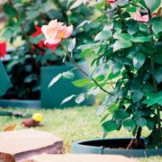 Greenwell&trade; Water Saver Alternate Image 5