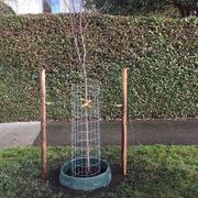 Greenwell&trade; Water Saver Alternate Image 9