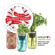 Modern Sprout Garden Jar - Basil Alternate Image 2