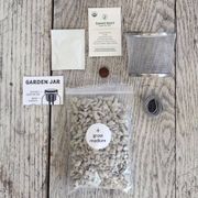 Modern Sprout Garden Jar - Basil Alternate Image 3