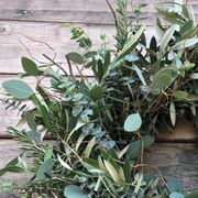Fresh Curly Willow and Eucalyptus Wreath Alternate Image 3