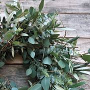 Fresh Curly Willow and Eucalyptus Wreath Alternate Image 4