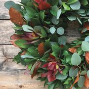 Fresh Ruscus, Eucalyptus, Red Safari and Preserved Orange Salal Wreath Alternate Image 2