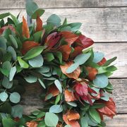 Fresh Ruscus, Eucalyptus, Red Safari and Preserved Orange Salal Wreath Alternate Image 4
