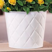 Yellow Rose Gift Plant Alternate Image 2