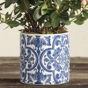 Pretty Pink Azalea Plant Alternate Image 4