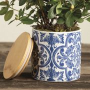 Pretty Pink Azalea Plant Alternate Image 5