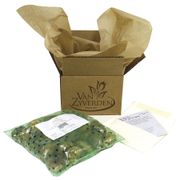 Allium Collection Ornamental Onion Bulbs Alternate Image 4