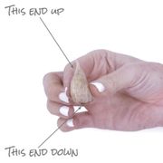 Freesia Double Blooming Lavender Bulbs Alternate Image 3